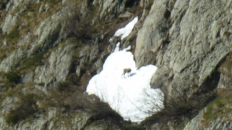 Photo Alpes Oisans Louer gite