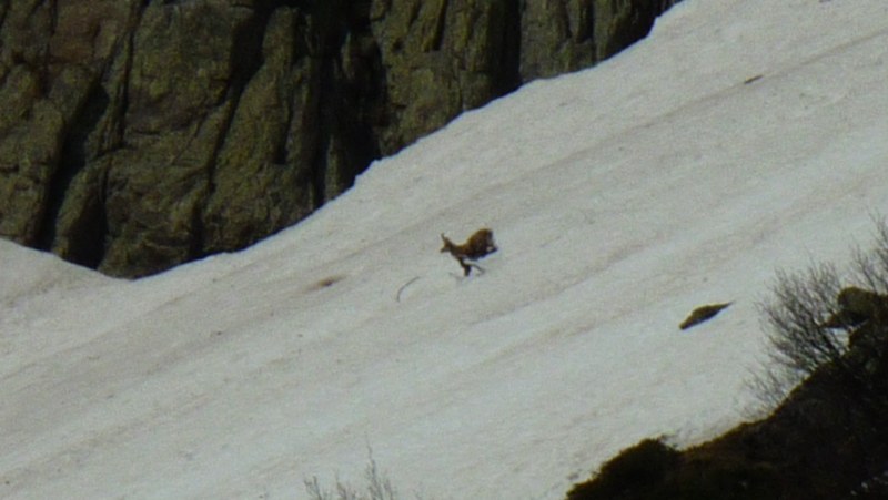 Photo Alpes Oisans Louer gite