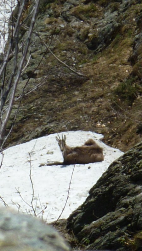 Photo Alpes Oisans Louer gite