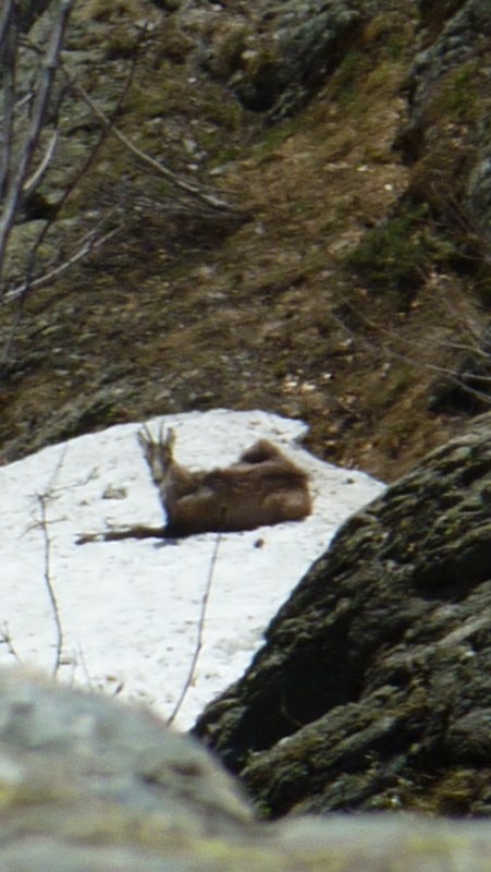 Photo Alpes Oisans Louer gite