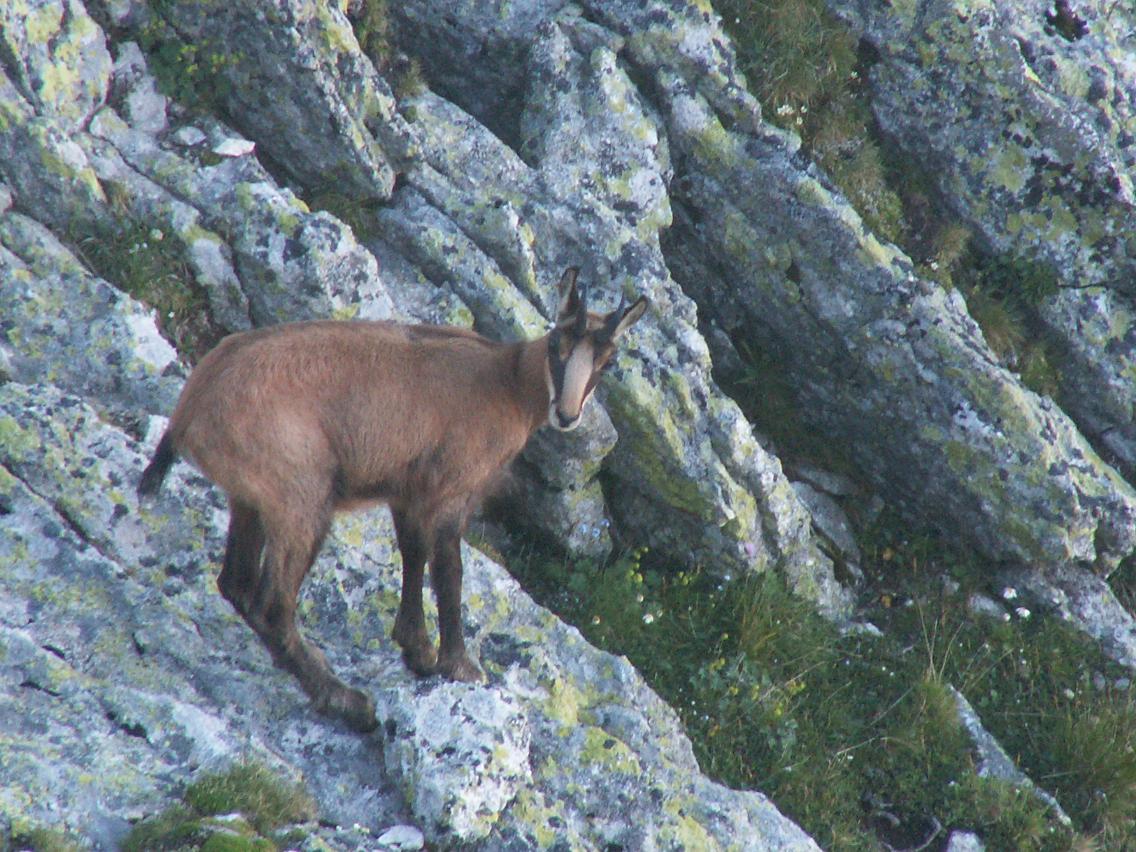 Photo Alpes Oisans Louer gite