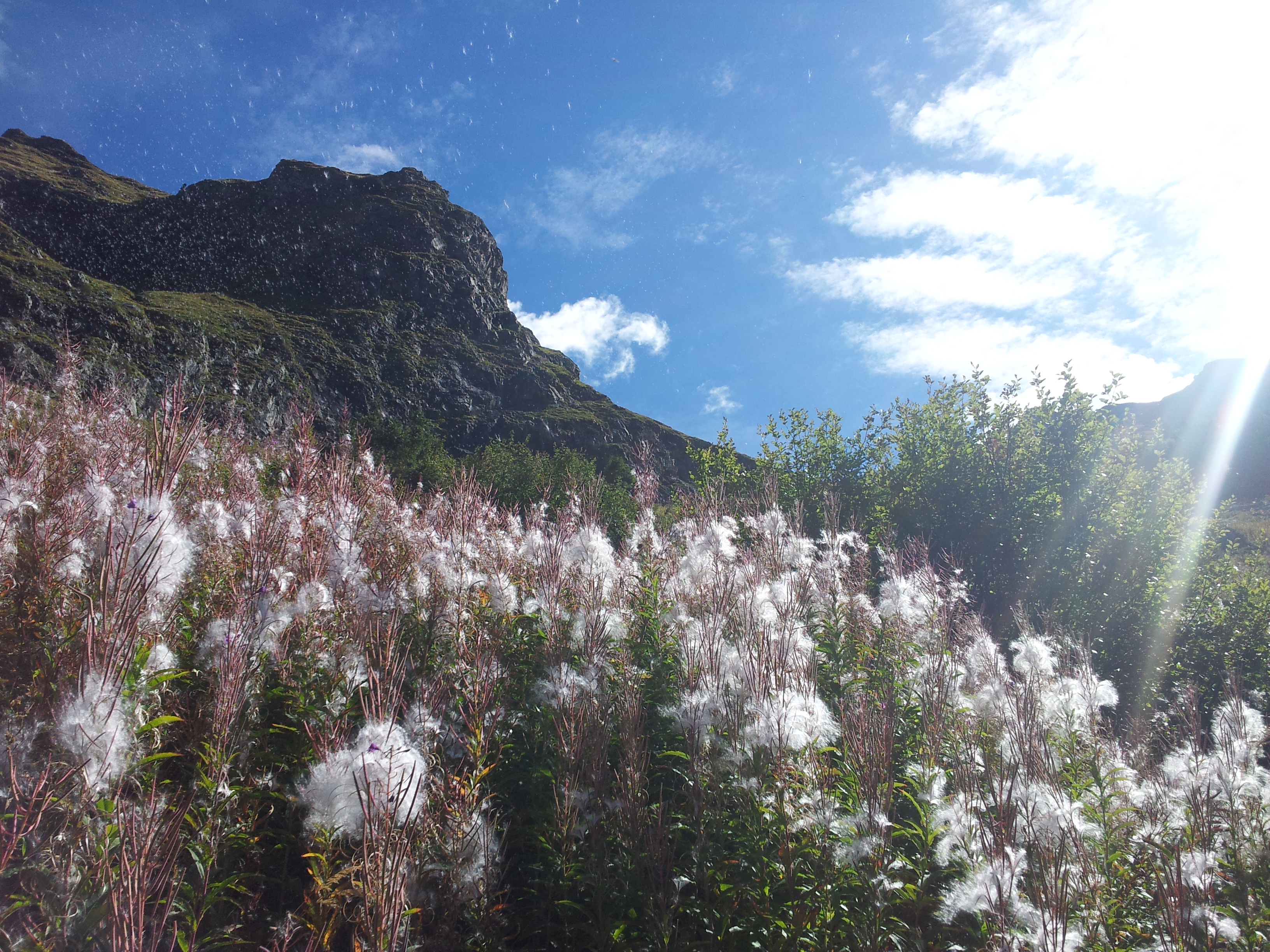 Photo Alpes Oisans Louer gite