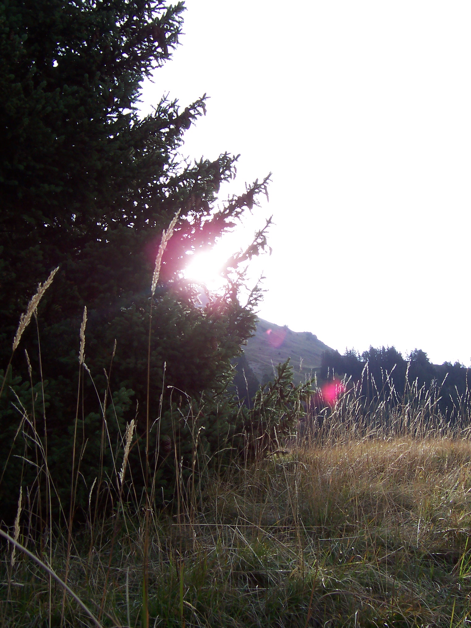 Photo Alpes Oisans Louer gite