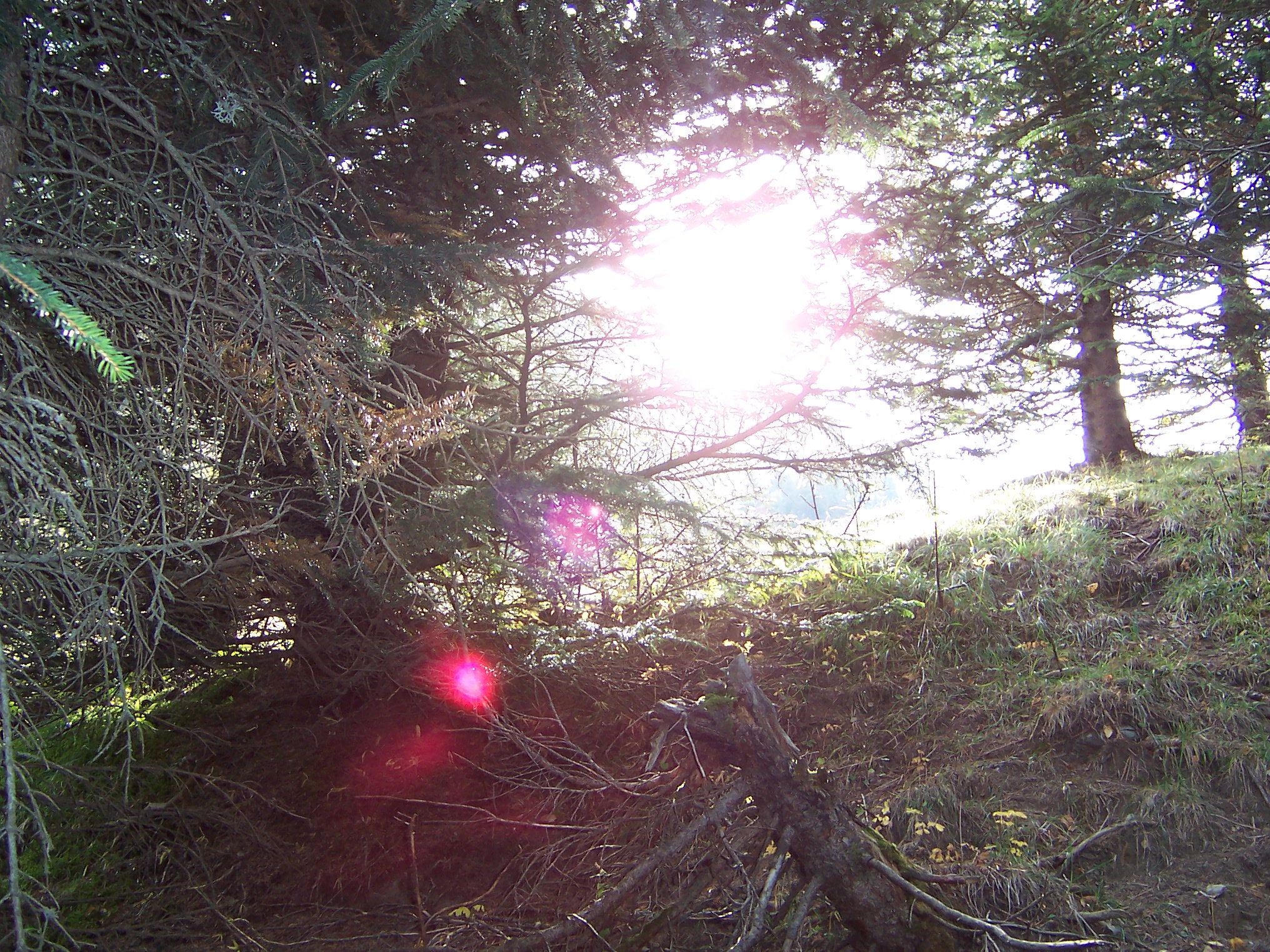 Photo Alpes Oisans Louer gite