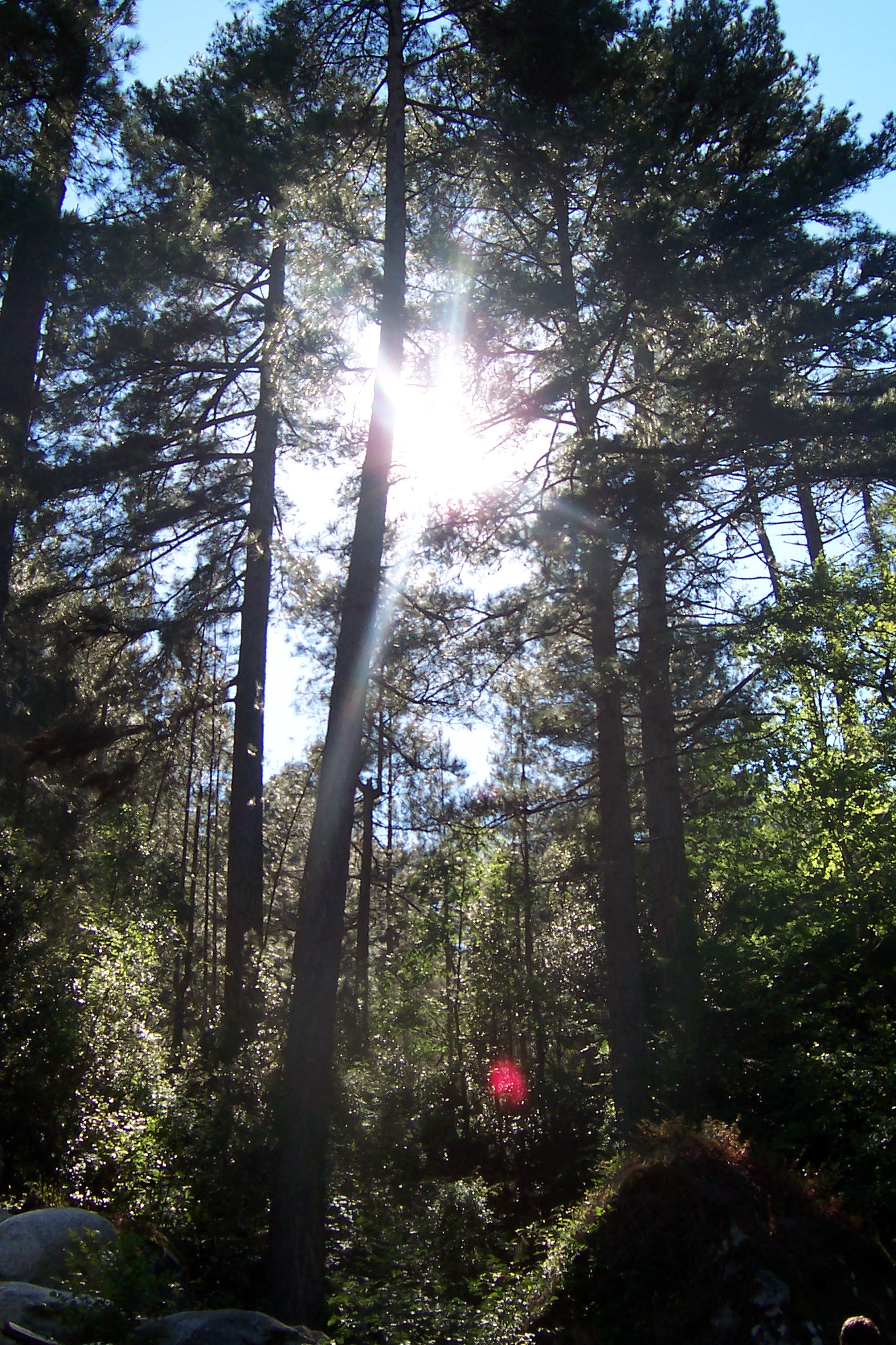 Photo Alpes Oisans Louer gite